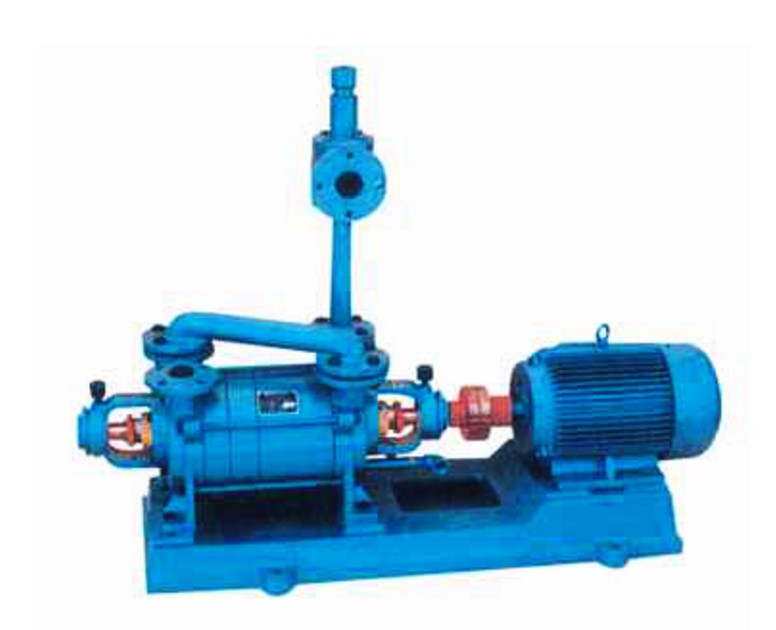 2SK兩級(jí)水環(huán)式真空泵